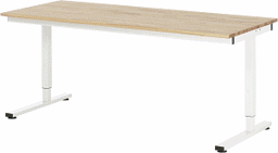 Zeige Details für Arbeitstisch Serie RHE, B 2000 x T 800 x H 740-1040 mm, Buche-Massiv-Platte 25 mm
 Bild von Arbeitstisch Serie RHE, B 2000 x T 800 x H 740-1040 mm, Buche-Massiv-Platte 25 mm