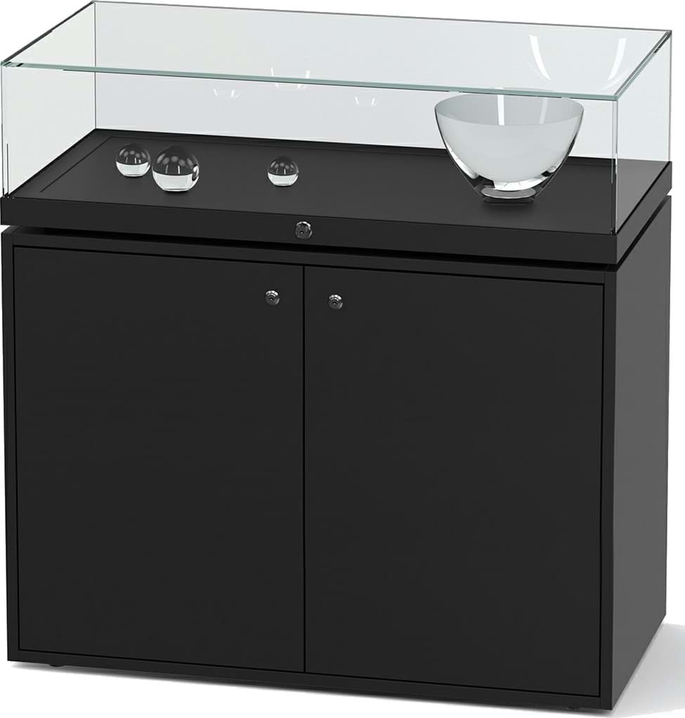Bild von Tischvitrine Fanum 260, 970x1000x500 mm HxBxT
