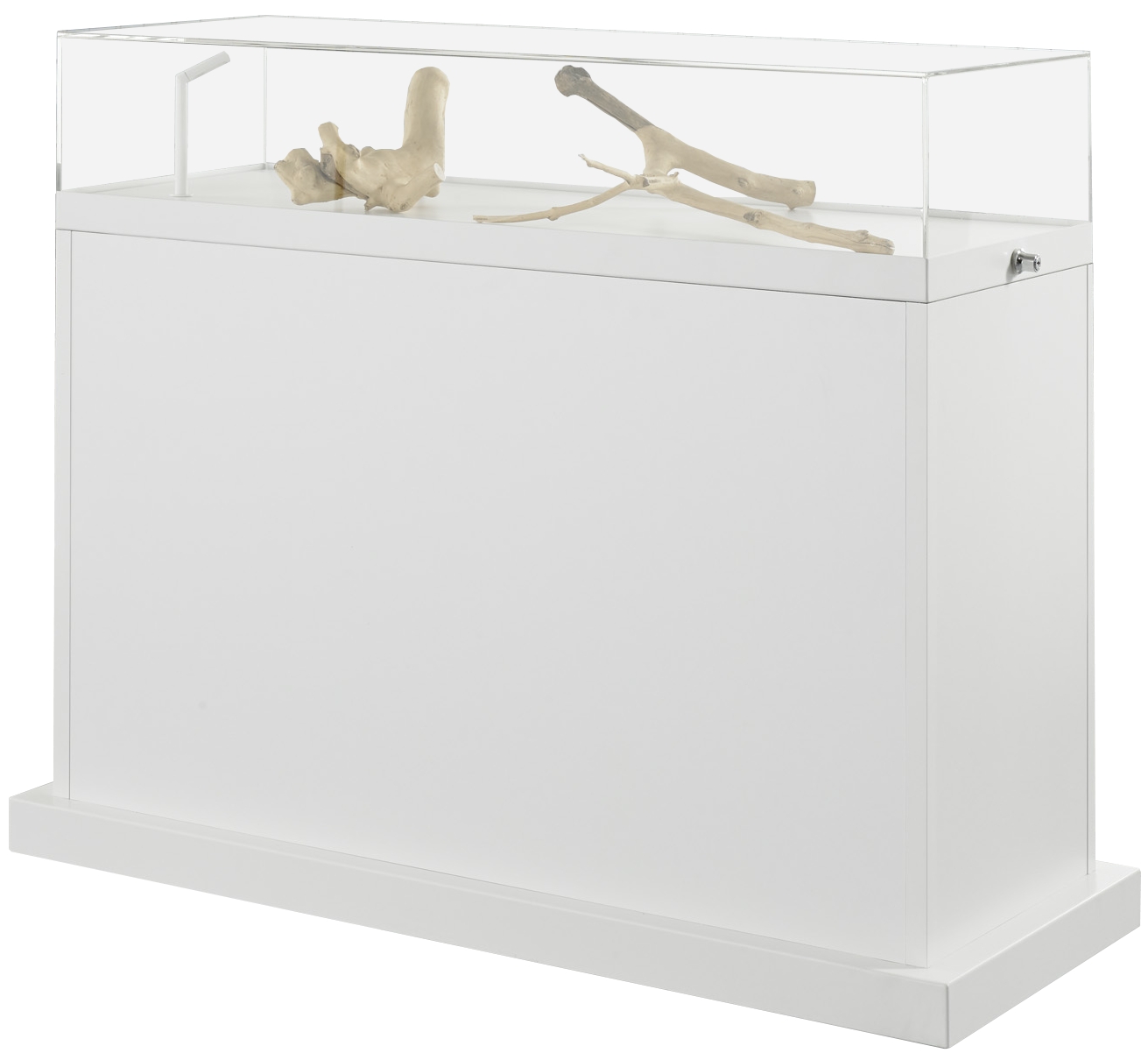 Bild von Exponat-Thekenvitrine 1000x1200x500 mm HxBxT mit Kunstglashaube, silber